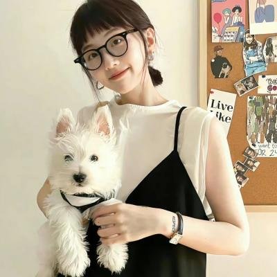 高能少年团第一季